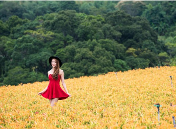 service-06 20251125143501-611-7